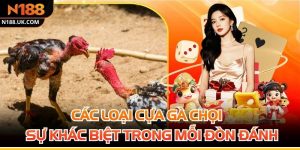 Các Loại Cựa Gà Chọi Và Sự Khác Biệt Trong Mỗi Đòn Đánh