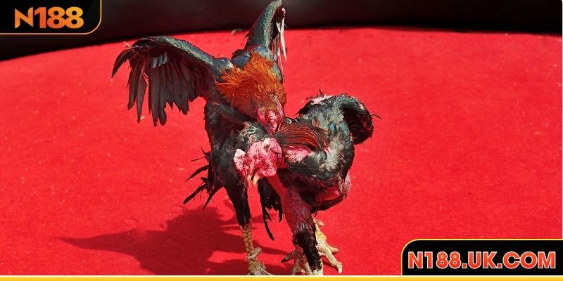 Lối né tránh tinh tế làm kẻ địch lúng túng