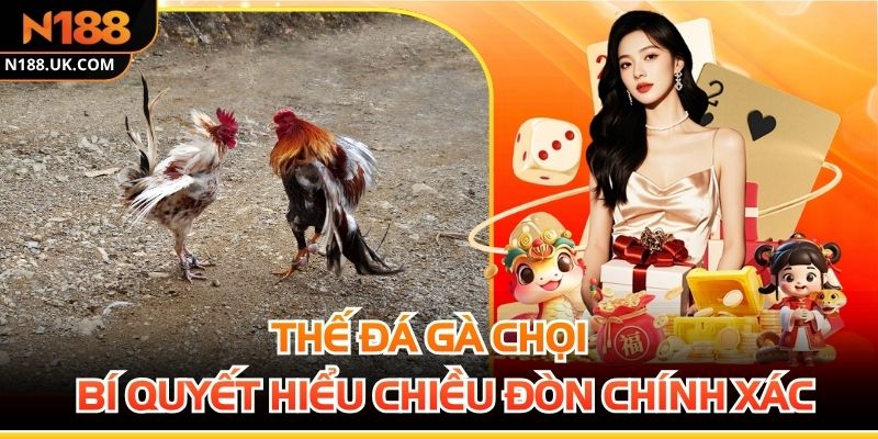 Thế Đá Gà Chọi Và Bí Quyết Hiểu Chiều Đòn Chính Xác