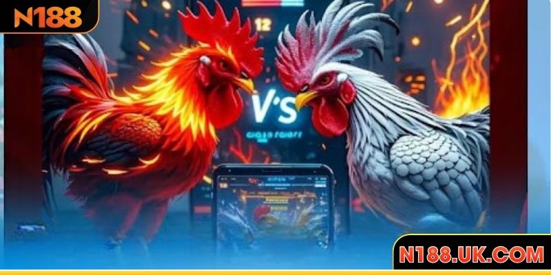Tìm hiểu về các loại cựa gà chọi tại N188